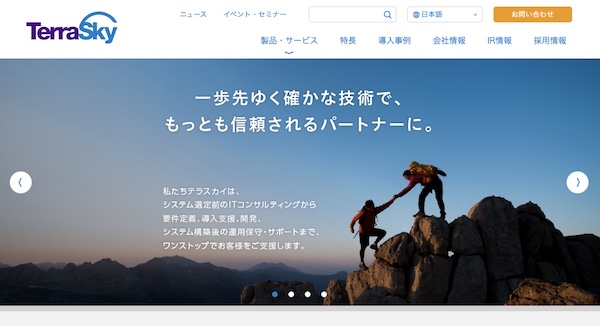 株式会社テラスカイ公式HP
